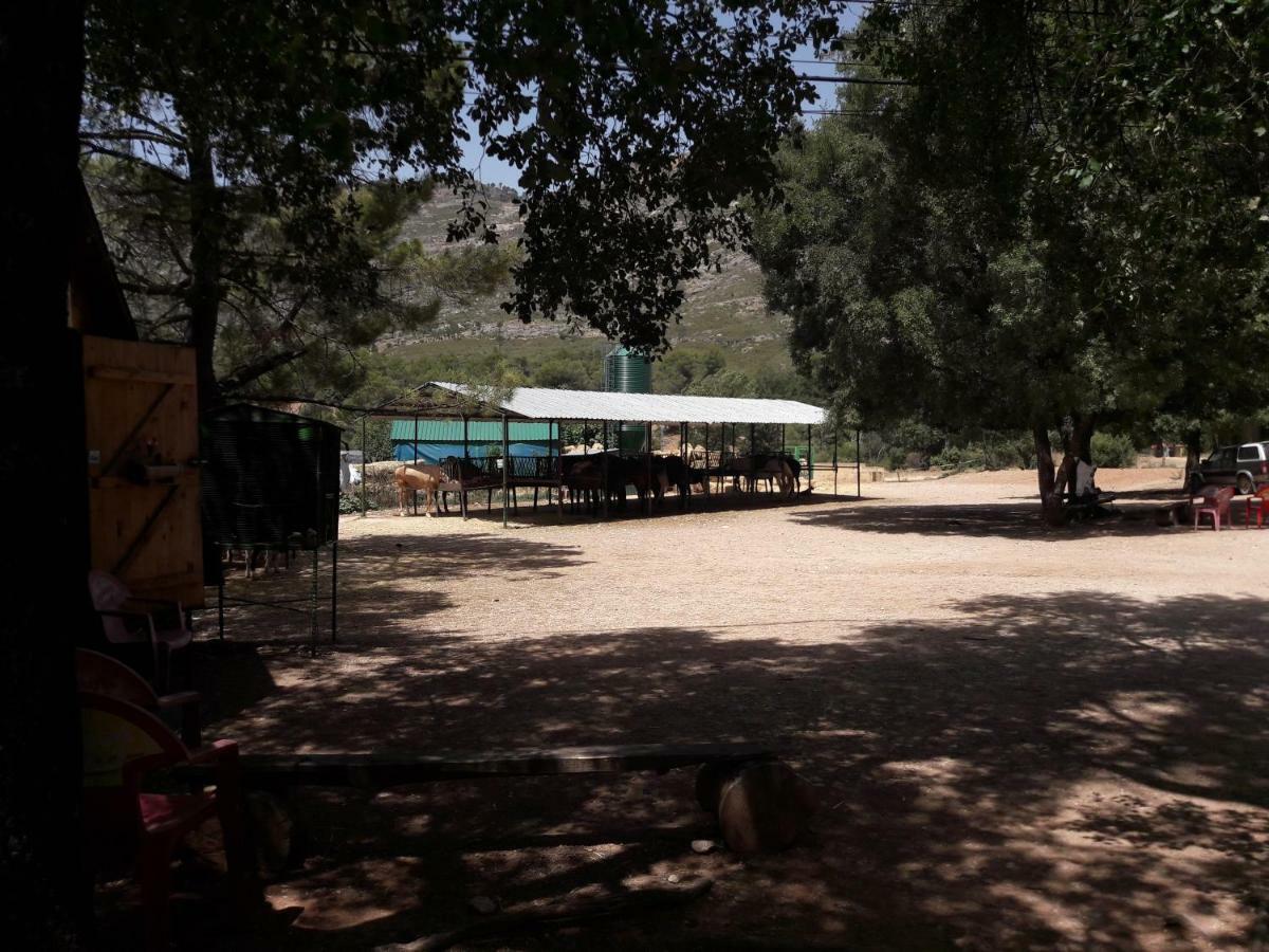 Sierra De Cazorla Villa Arroyo Frio Dış mekan fotoğraf